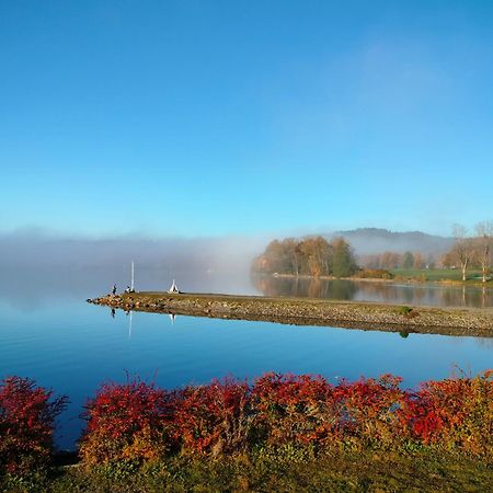 Apartman Aja - Lipno Nad Vltavou Buitenkant foto